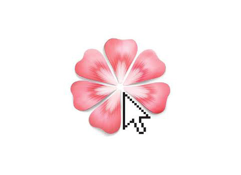 Benis Flower Onlineshop